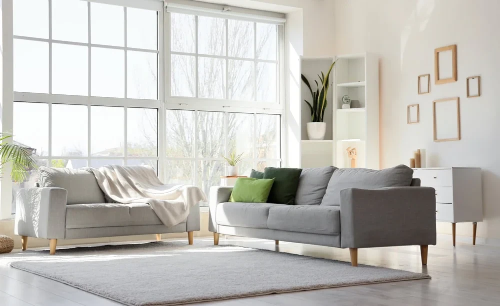 Bright Living Room Sunlight Pinellas County Florida