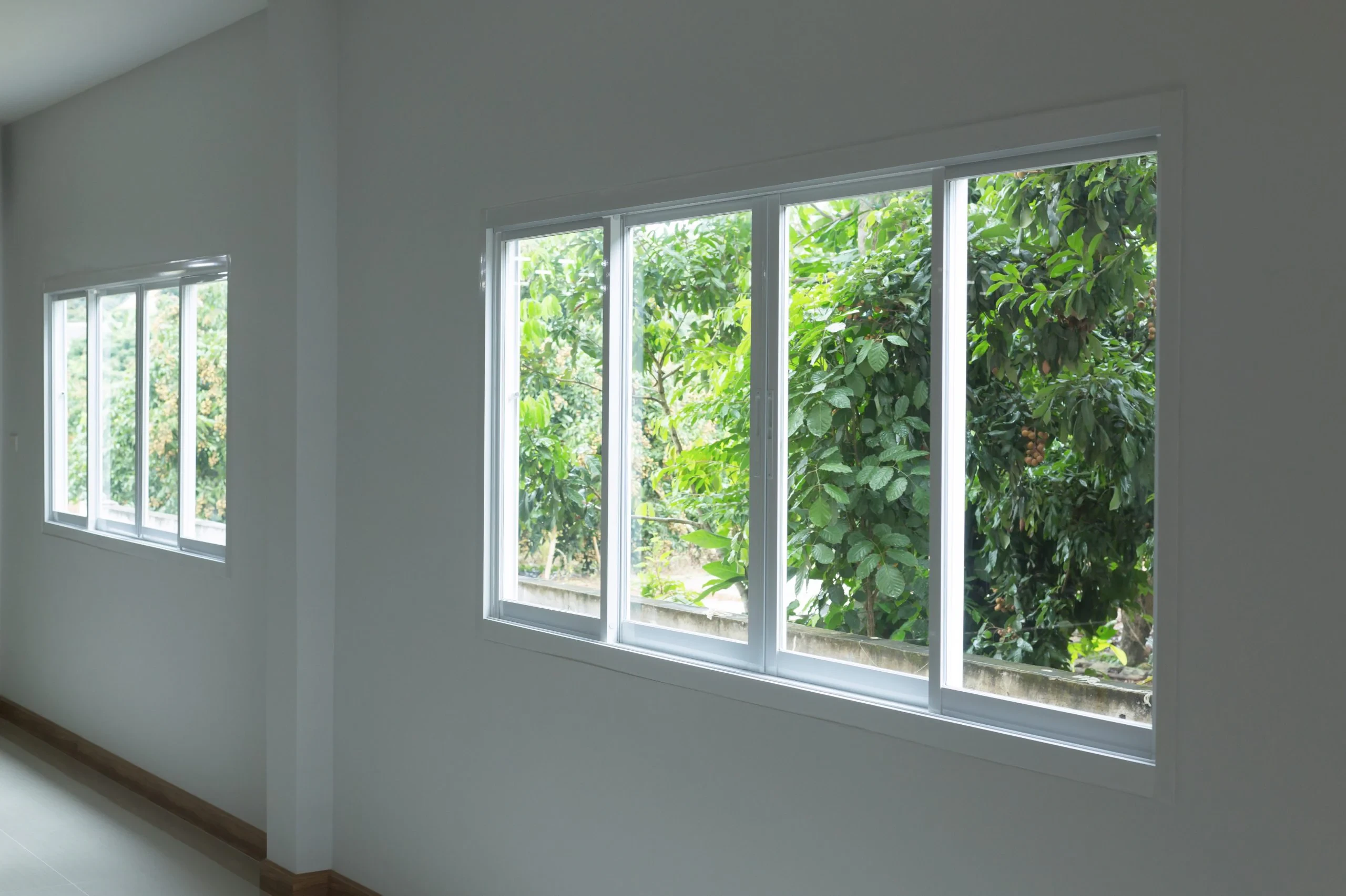 Bright Windows Green View Pinellas County Florida