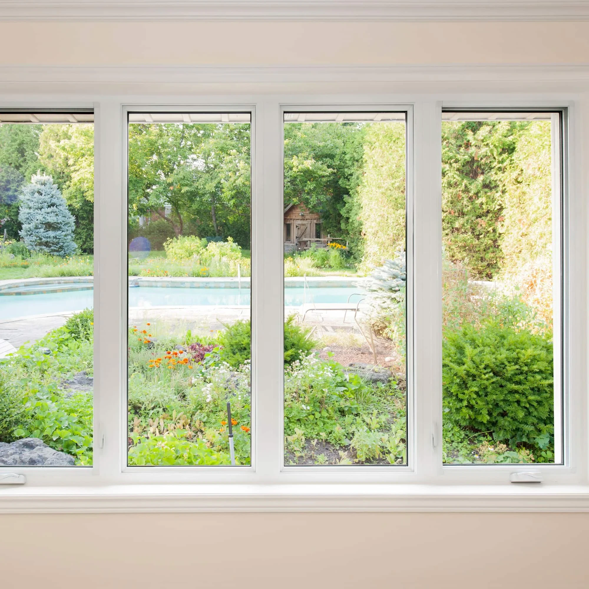Window View Garden Pool Shed Pinellas County Florida