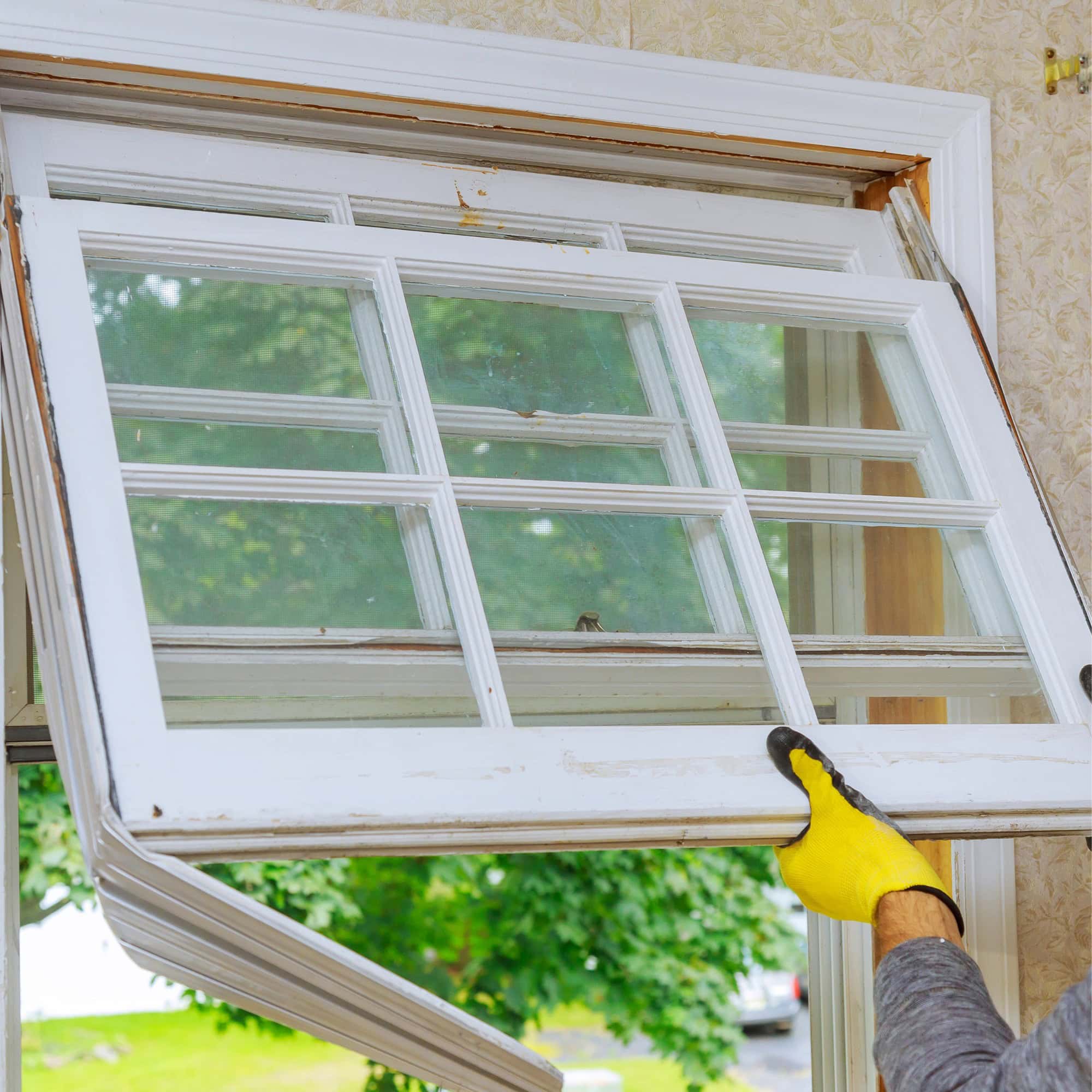 A person wearing yellow gloves is performing glass repair Pinellas County, removing or installing a window frame with glass panes from a wooden window opening, with green trees outside.