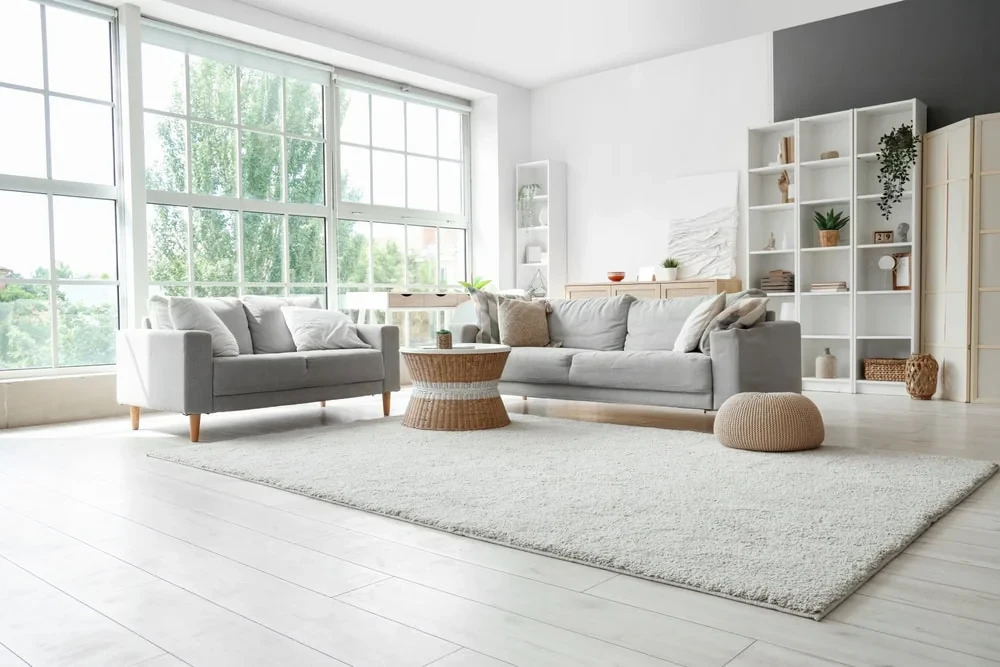Modern Living Room Windows Pinellas County Florida