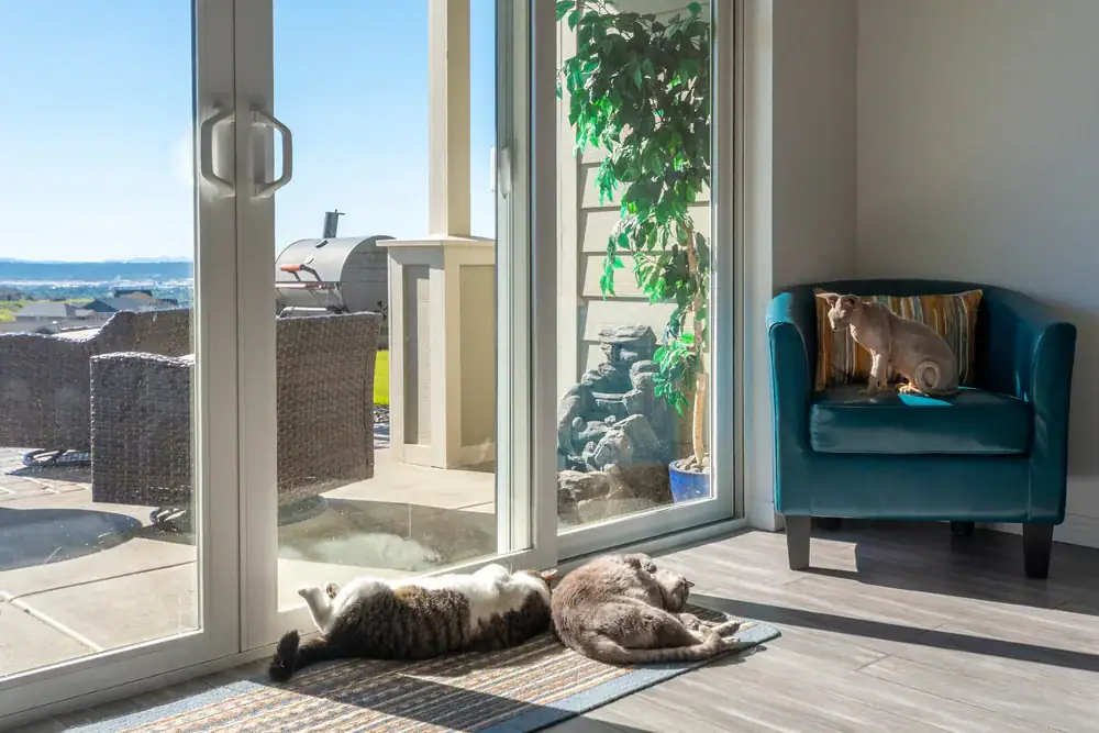 Bright living room with large sliding glass doors, showcasing professional glass repair services by Express Glass and Door; pets relaxing indoors and outdoor patio visible.